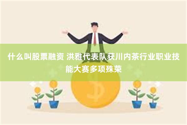 什么叫股票融资 洪雅代表队获川内茶行业职业技能大赛多项殊荣