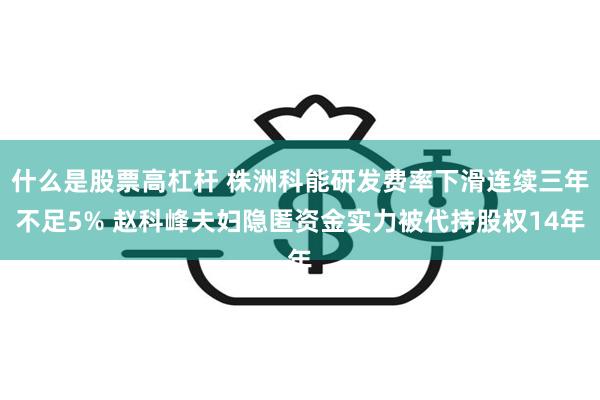 什么是股票高杠杆 株洲科能研发费率下滑连续三年不足5% 赵科峰夫妇隐匿资金实力被代持股权14年