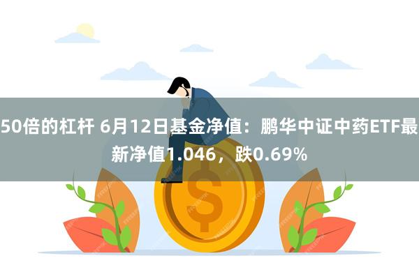 50倍的杠杆 6月12日基金净值：鹏华中证中药ETF最新净值1.046，跌0.69%