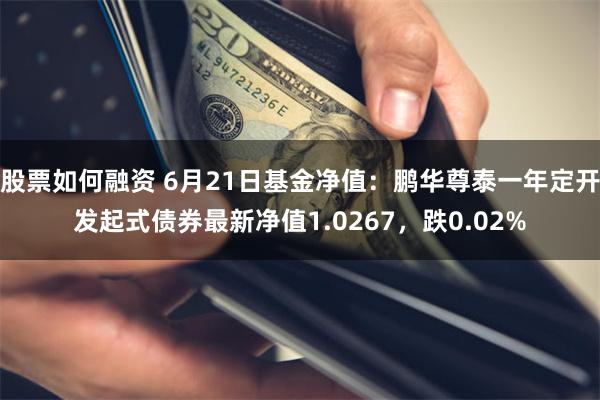 股票如何融资 6月21日基金净值：鹏华尊泰一年定开发起式债券最新净值1.0267，跌0.02%