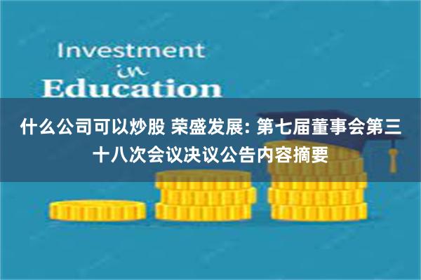 什么公司可以炒股 荣盛发展: 第七届董事会第三十八次会议决议公告内容摘要