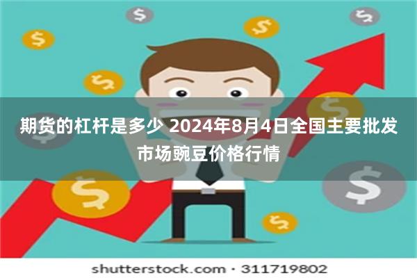 期货的杠杆是多少 2024年8月4日全国主要批发市场豌豆价格行情