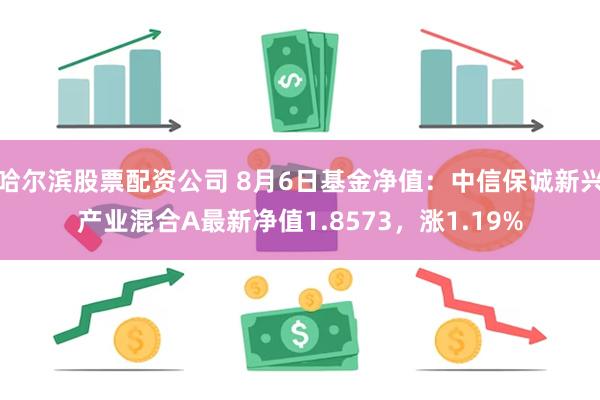 哈尔滨股票配资公司 8月6日基金净值：中信保诚新兴产业混合A最新净值1.8573，涨1.19%