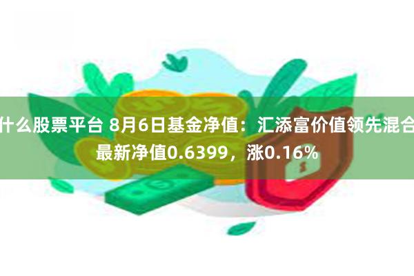 什么股票平台 8月6日基金净值：汇添富价值领先混合最新净值0.6399，涨0.16%