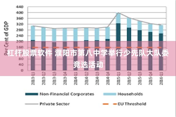 杠杆股票软件 濮阳市第八中学举行少先队大队委竞选活动