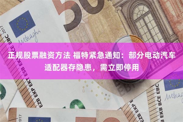 正规股票融资方法 福特紧急通知：部分电动汽车适配器存隐患，需立即停用