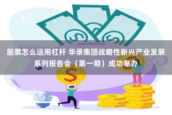 股票怎么运用杠杆 华录集团战略性新兴产业发展系列报告会（第一期）成功举办