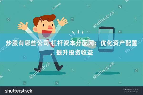 炒股有哪些公司 杠杆资本分配网：优化资产配置，提升投资收益