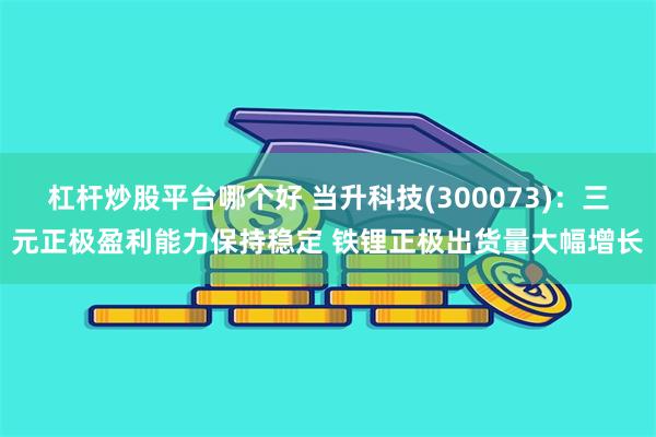 杠杆炒股平台哪个好 当升科技(300073)：三元正极盈利能力保持稳定 铁锂正极出货量大幅增长