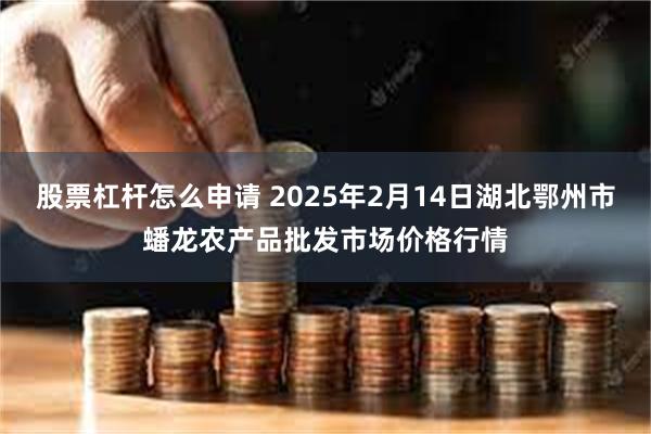 股票杠杆怎么申请 2025年2月14日湖北鄂州市蟠龙农产品批发市场价格行情