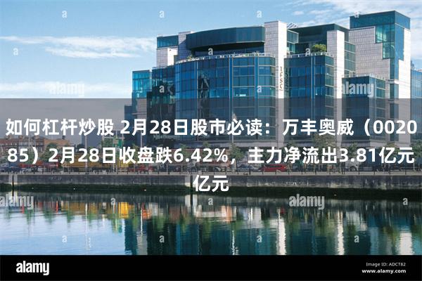 如何杠杆炒股 2月28日股市必读：万丰奥威（002085）2月28日收盘跌6.42%，主力净流出3.81亿元