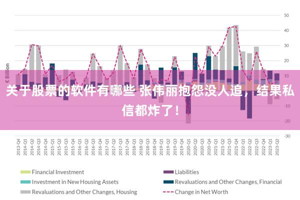 关于股票的软件有哪些 张伟丽抱怨没人追，结果私信都炸了！